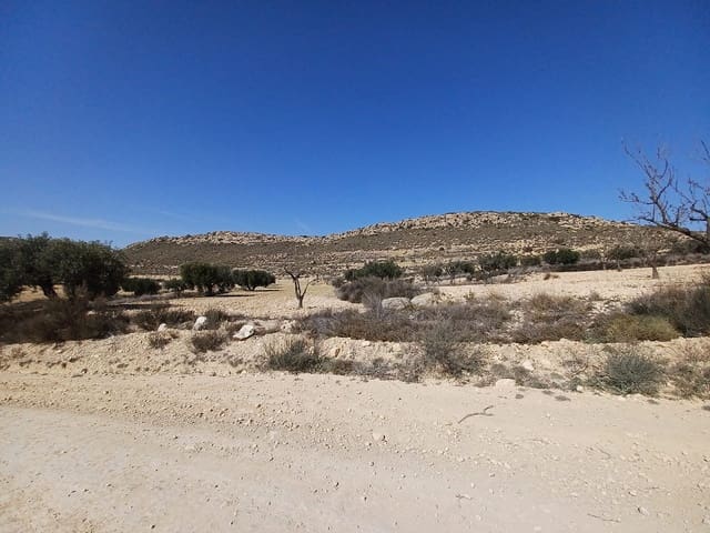 Mark till salu i Pinoso - 49 995 € (Ref: 9707423)