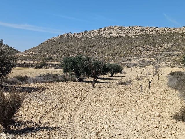 Mark till salu i Pinoso - 49 995 € (Ref: 9707423)