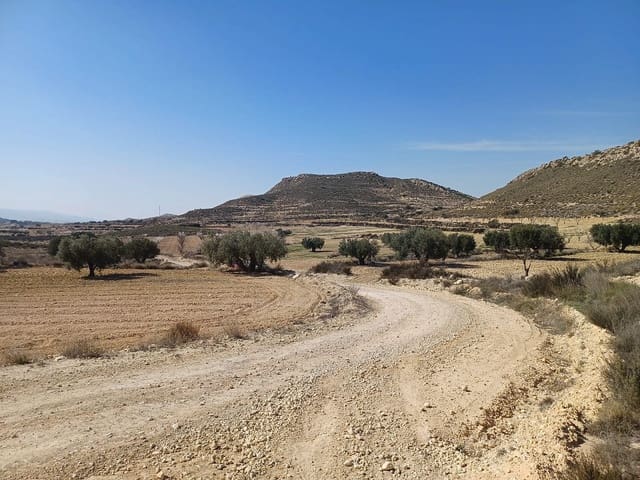 Mark till salu i Pinoso - 49 995 € (Ref: 9707423)
