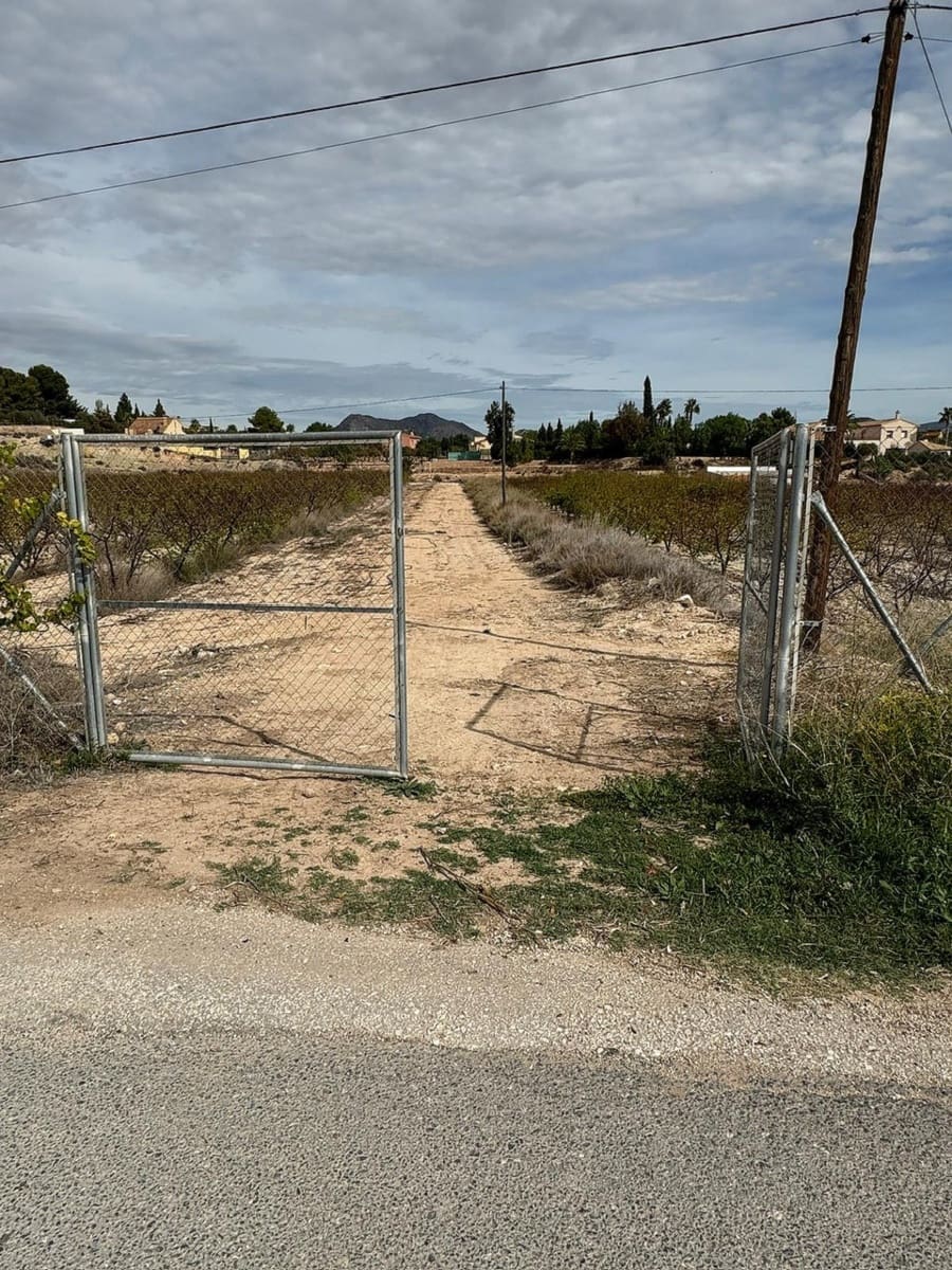 Terre non Aménagée à vendre à Monovar / Monover - 94 995 € (Ref: 9707425)