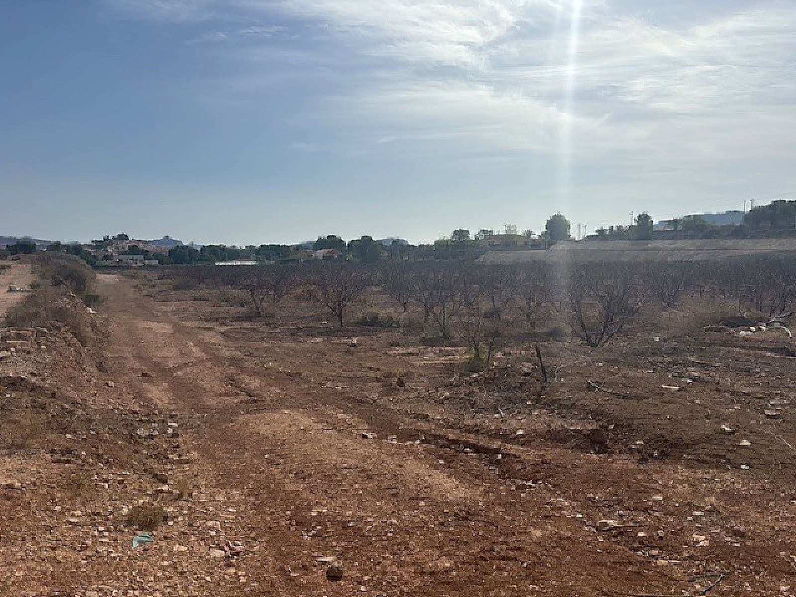 Terre non Aménagée à vendre à Monovar / Monover - 94 995 € (Ref: 9707425)