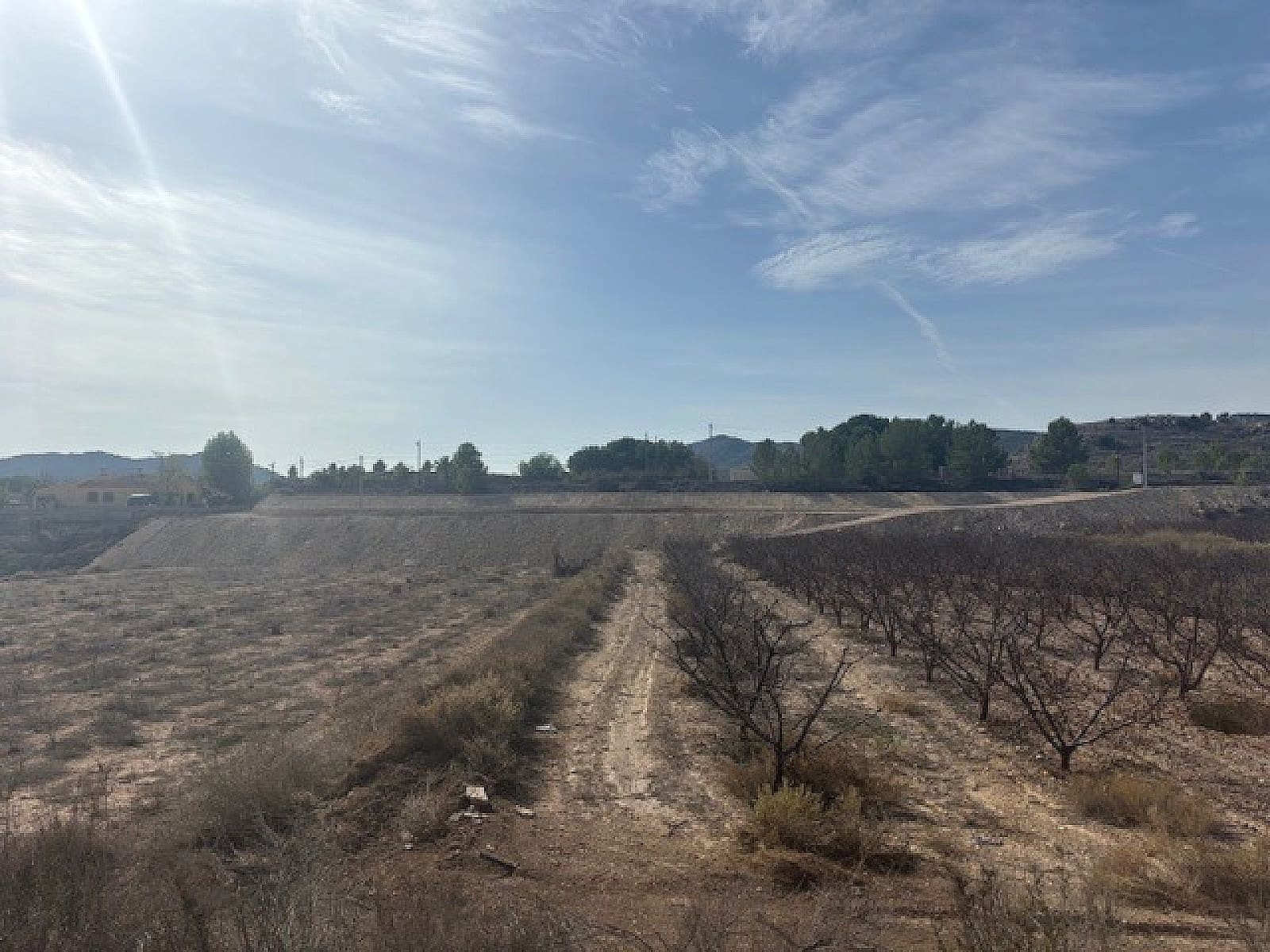 Terre non Aménagée à vendre à Monovar / Monover - 94 995 € (Ref: 9707425)