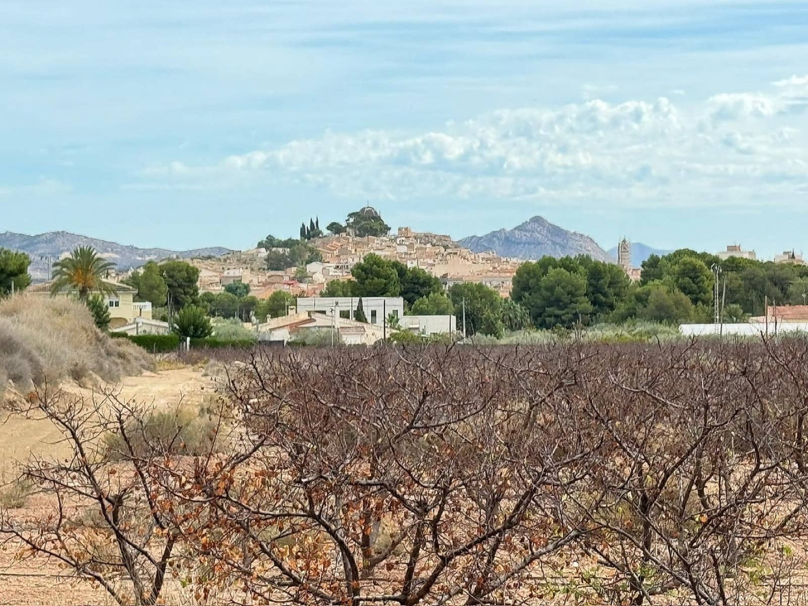 Terre non Aménagée à vendre à Monovar / Monover - 94 995 € (Ref: 9707425)