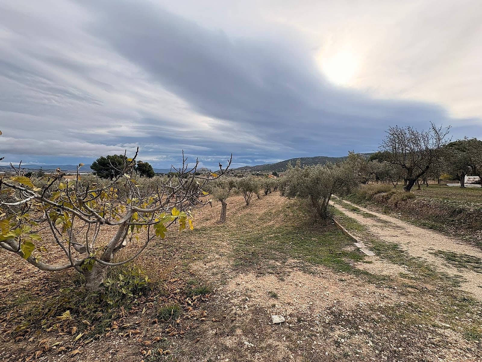 Grunde uden byggetilladelser til salg i Onil - € 90.000 (Ref: 9707432)