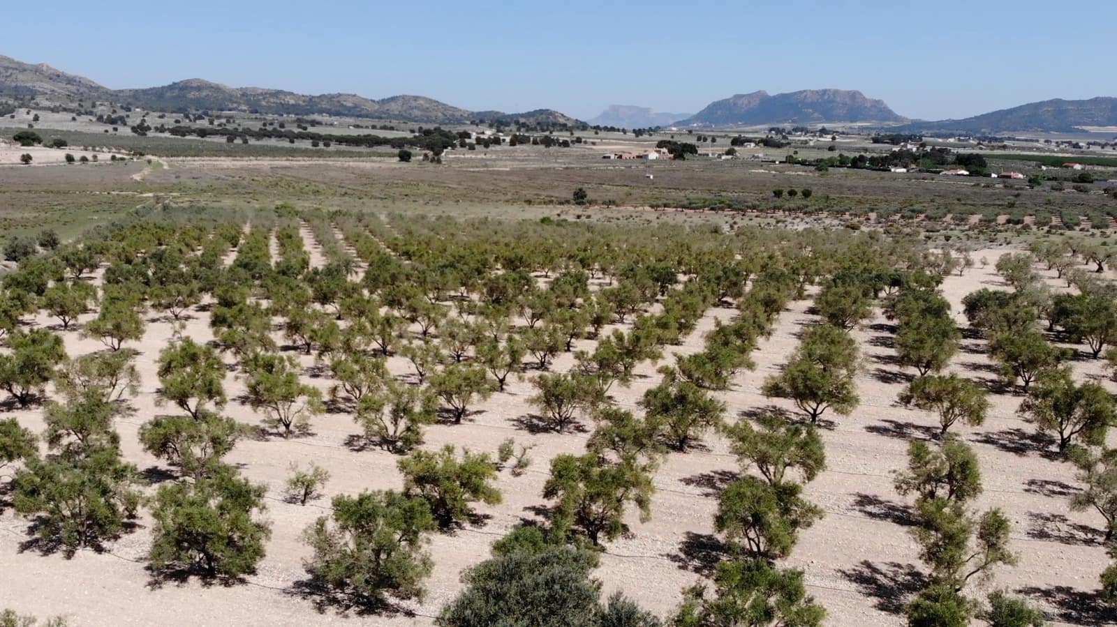 Grunde uden byggetilladelser til salg i Salinas - € 99.995 (Ref: 9707984)