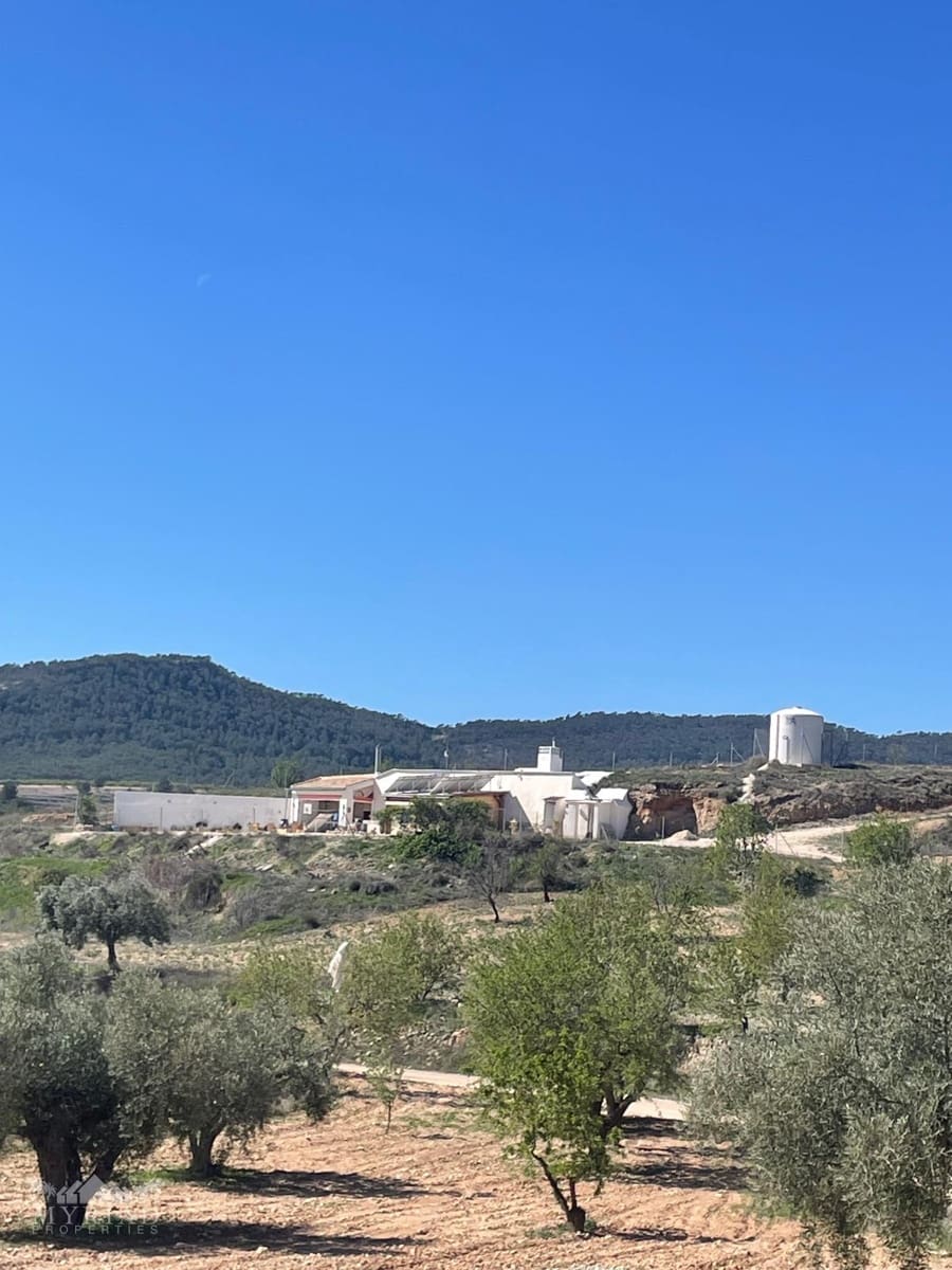 3 camera da letto Casa Grotta in vendita in Pinoso - 135.995 € (Rif: 9707986)