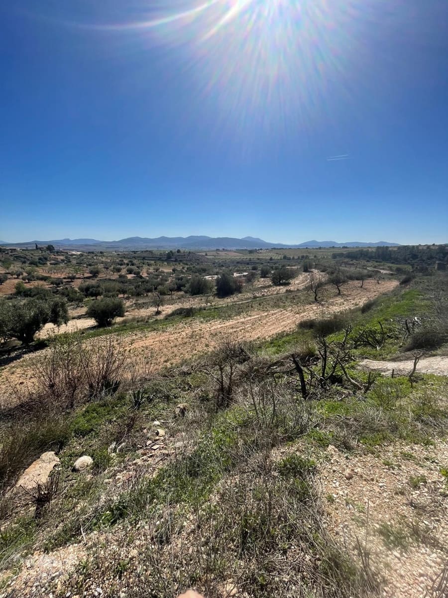 3 camera da letto Casa Grotta in vendita in Pinoso - 135.995 € (Rif: 9707986)