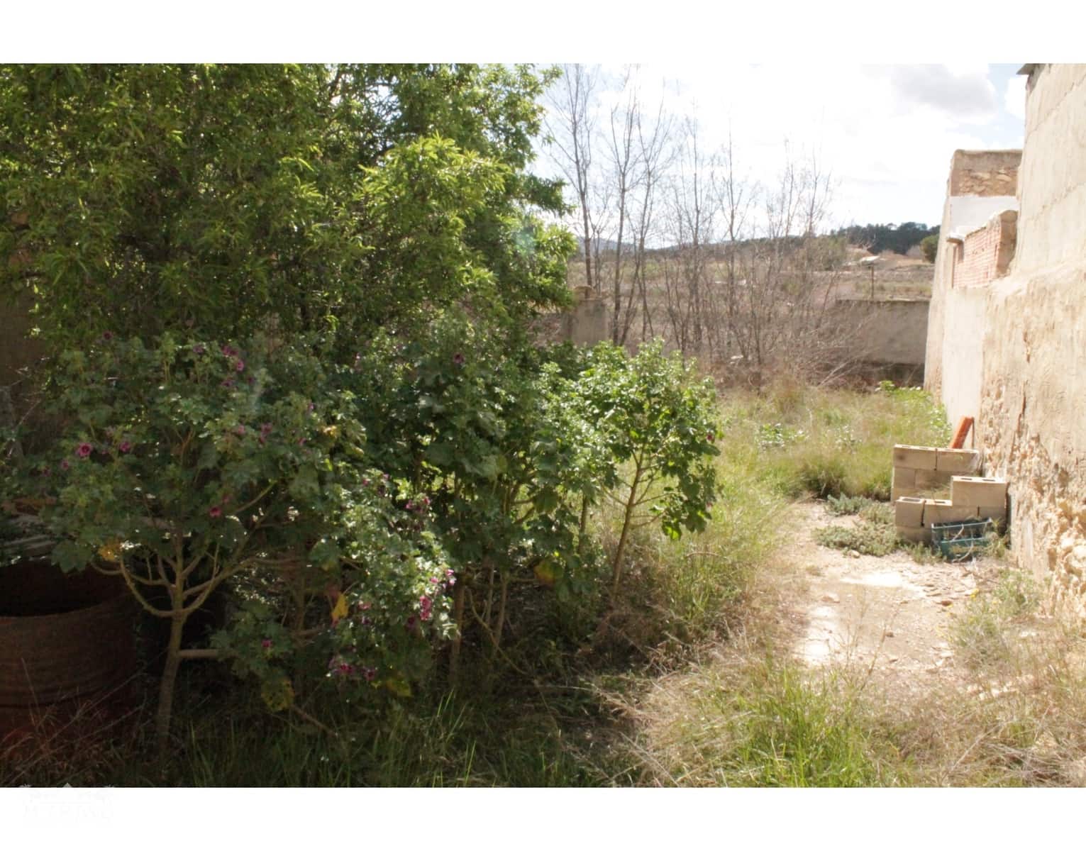 2 slaapkamer Finca/Landhuis te koop in Pinoso - € 36.000 (Ref: 9707987)