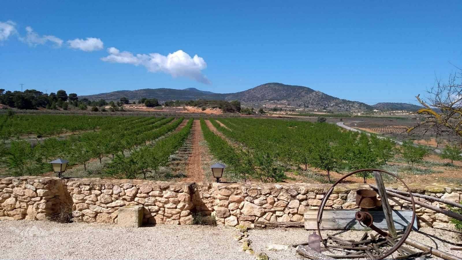 5 bedroom Finca/Country House for sale in Yecla with pool - € 340,000 (Ref: 9707988)