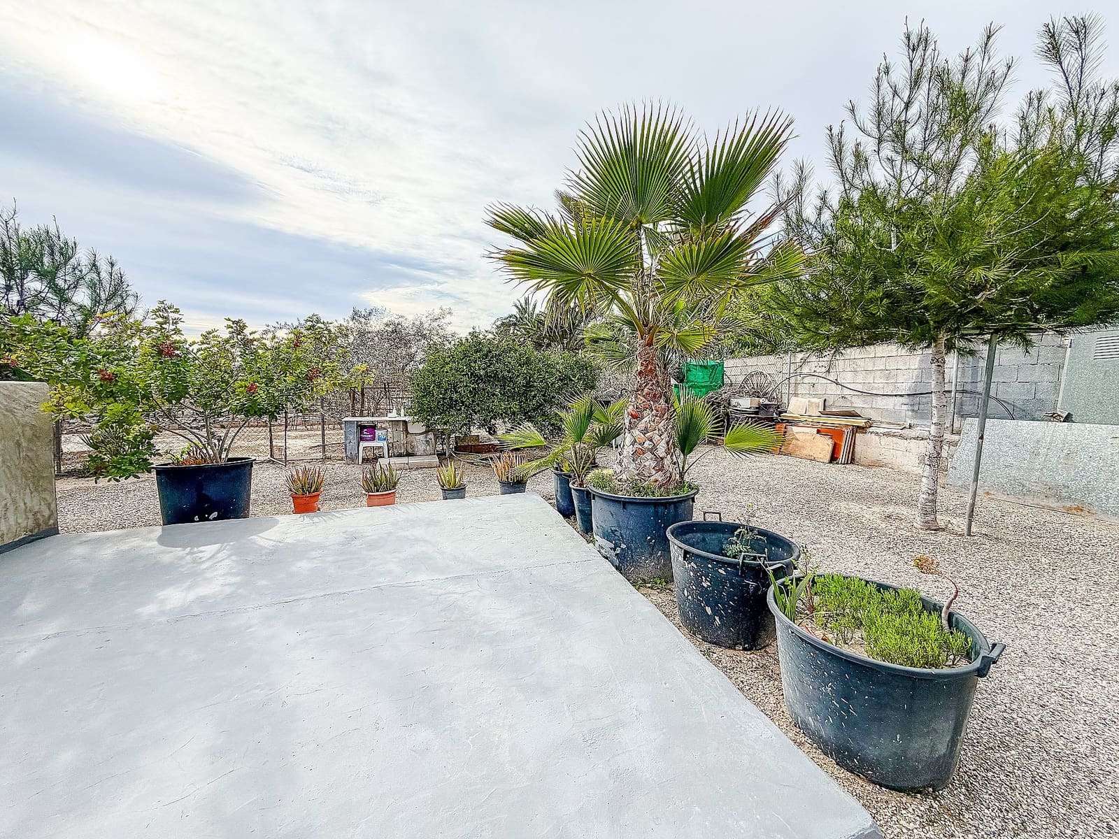 2 camera da letto Finca/Casa di Campagna in vendita in Elche / Elx con piscina - 250.000 € (Rif: 9711103)