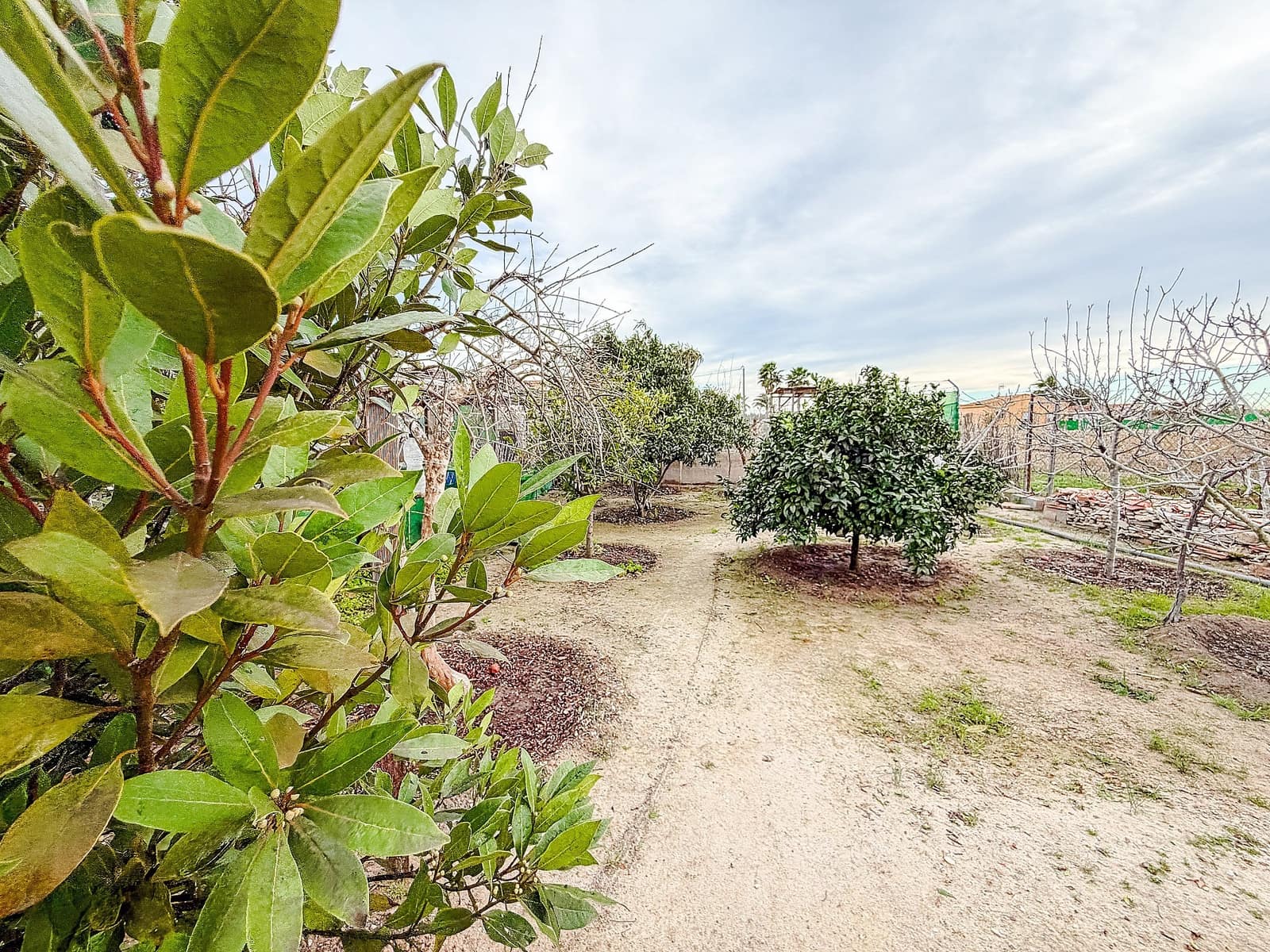 2 camera da letto Finca/Casa di Campagna in vendita in Elche / Elx con piscina - 250.000 € (Rif: 9711103)