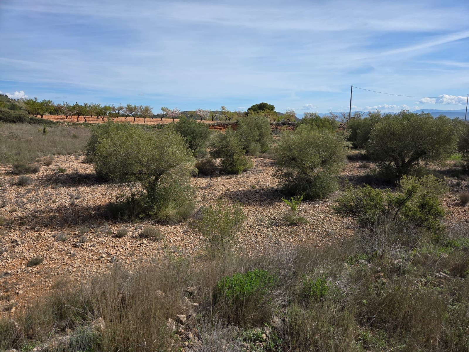 Undeveloped Land for sale in Yecla - € 25,000 (Ref: 9711105)