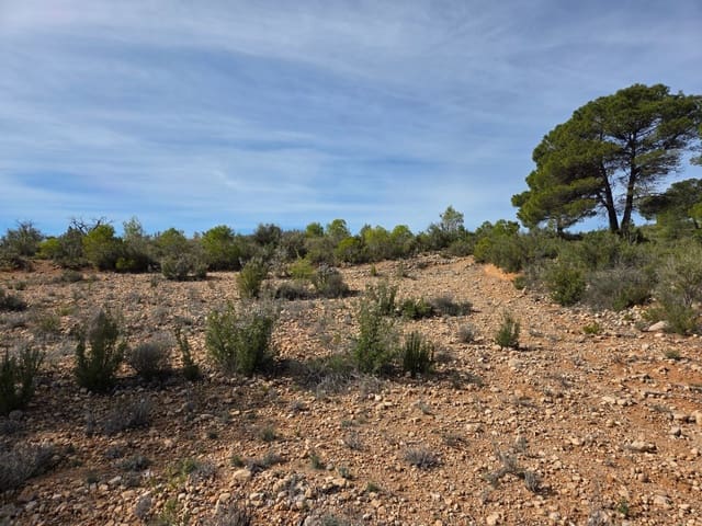 Terreno Não Urbanizado para venda em Yecla - 25 000 € (Ref: 9711105)
