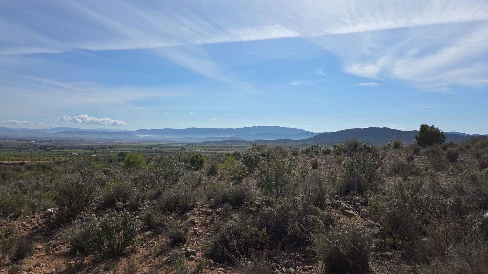 Undeveloped Land for sale in Yecla - € 25,000 (Ref: 9711105)