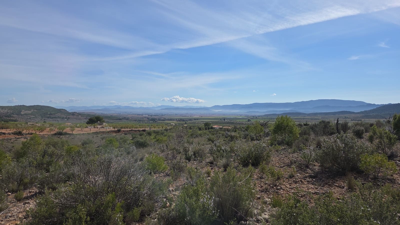 Undeveloped Land for sale in Yecla - € 25,000 (Ref: 9711105)