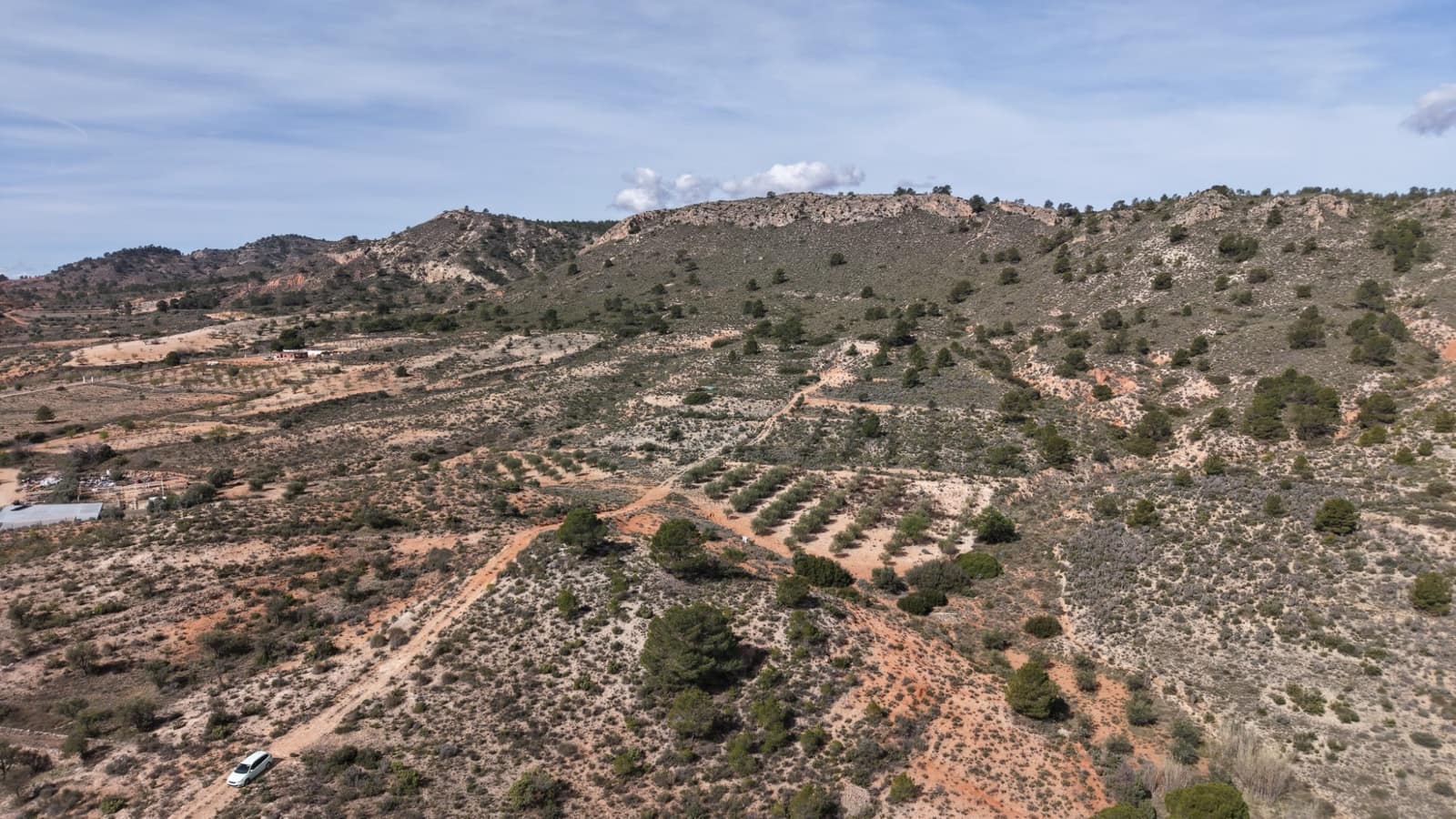 Undeveloped Land for sale in Yecla - € 25,000 (Ref: 9711105)