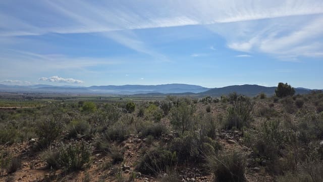 Terreno Não Urbanizado para venda em Yecla - 25 000 € (Ref: 9711105)