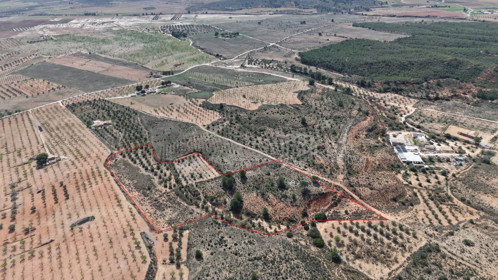 Undeveloped Land for sale in Yecla - € 25,000 (Ref: 9711105)