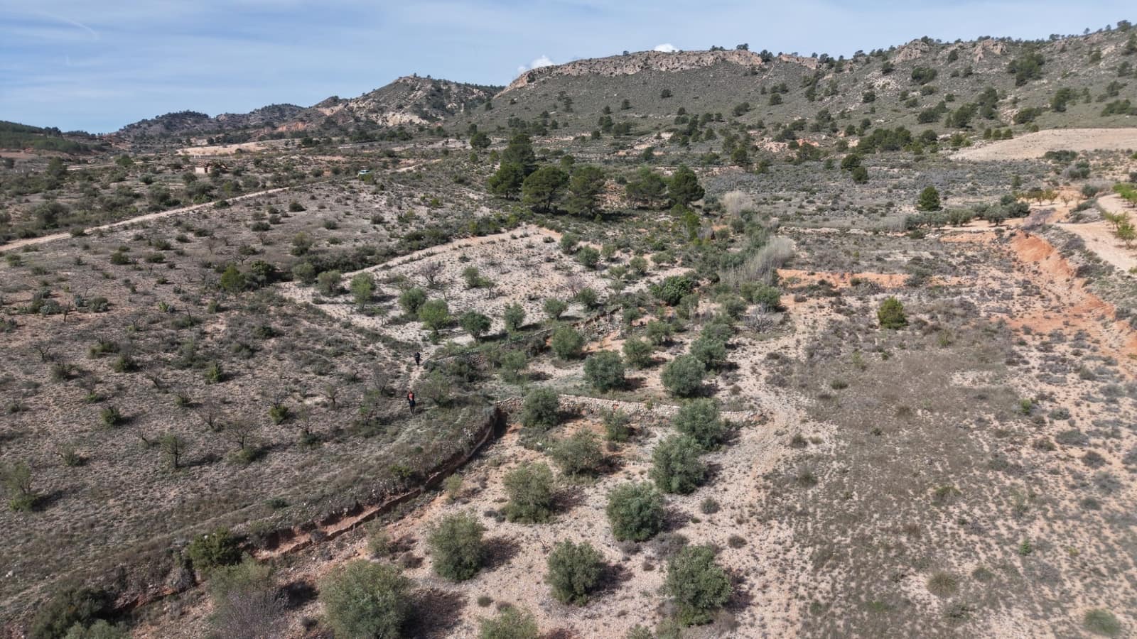 Undeveloped Land for sale in Yecla - € 25,000 (Ref: 9711105)