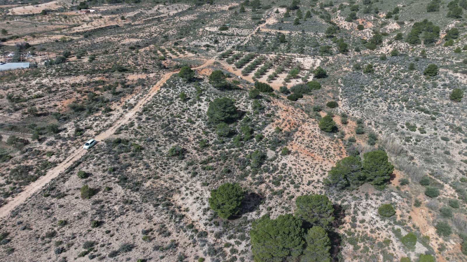 Undeveloped Land for sale in Yecla - € 25,000 (Ref: 9711105)