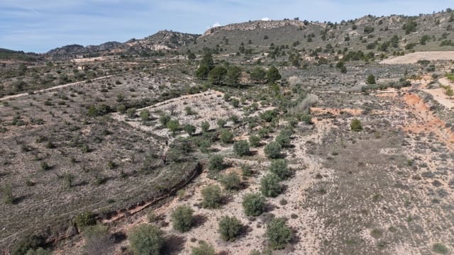 Terreno Não Urbanizado para venda em Yecla - 25 000 € (Ref: 9711105)