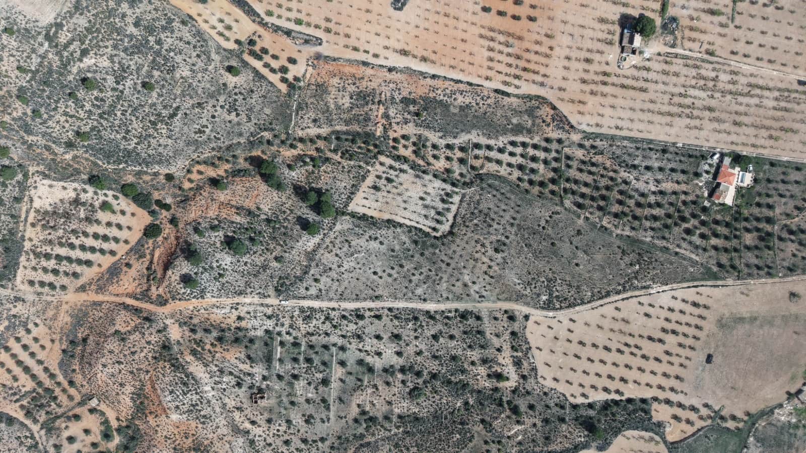 Undeveloped Land for sale in Yecla - € 25,000 (Ref: 9711105)