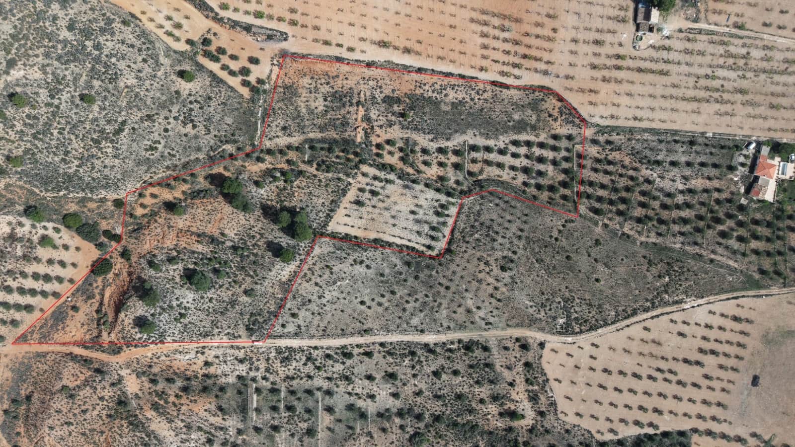 Undeveloped Land for sale in Yecla - € 25,000 (Ref: 9711105)