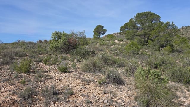 Terreno Não Urbanizado para venda em Yecla - 25 000 € (Ref: 9711105)