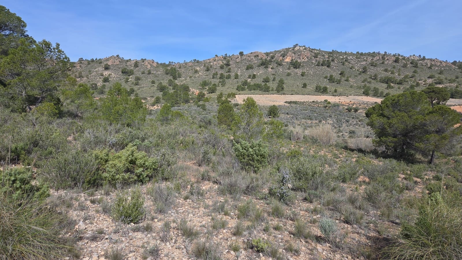 Undeveloped Land for sale in Yecla - € 25,000 (Ref: 9711105)