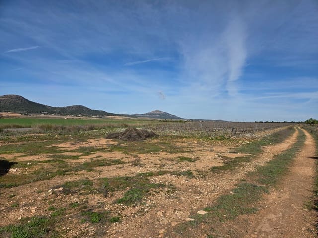 Terreno Não Urbanizado para venda em Yecla - 40 000 € (Ref: 9711106)