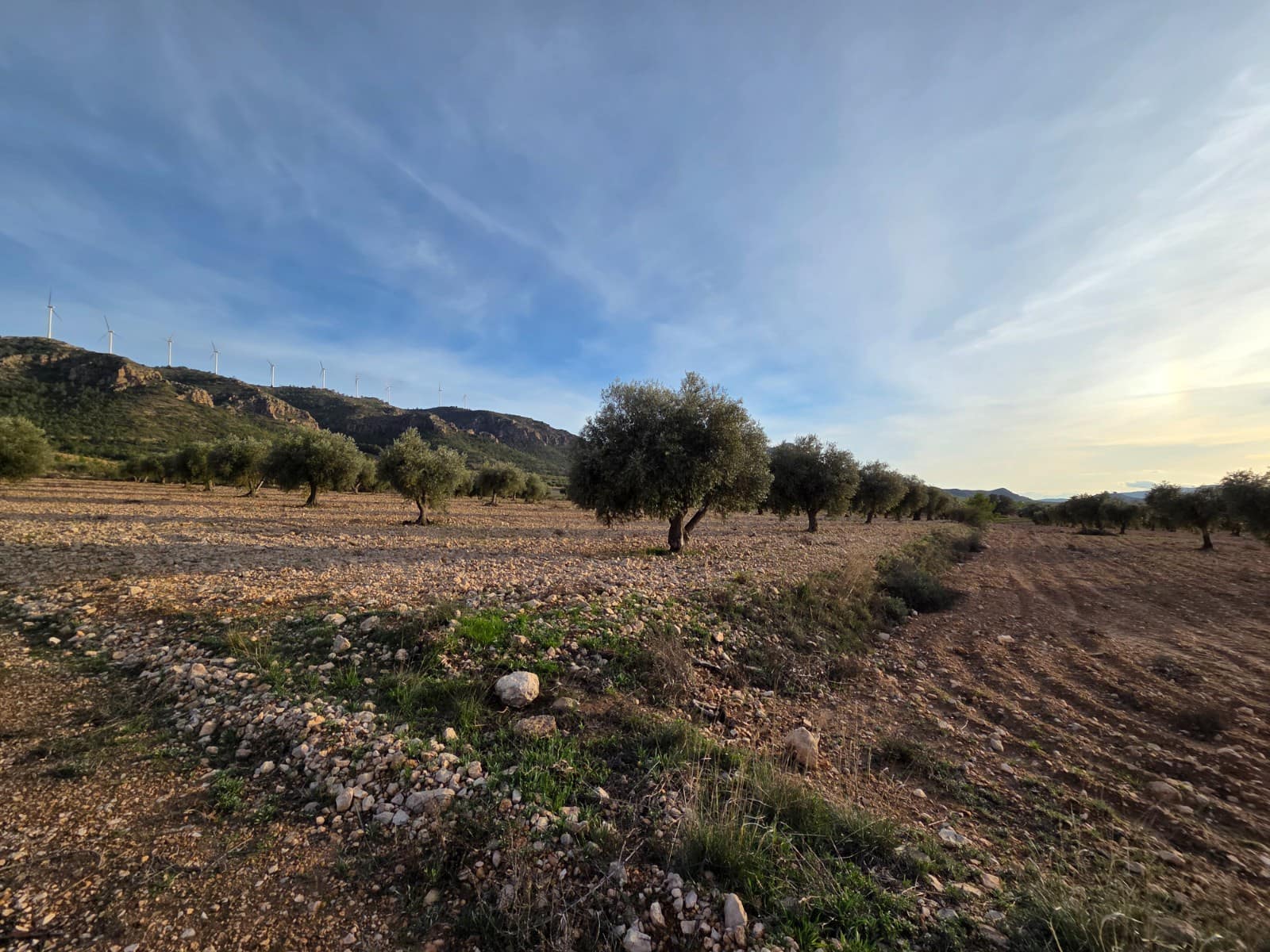 Undeveloped Land for sale in Jumilla - € 65,000 (Ref: 9711108)