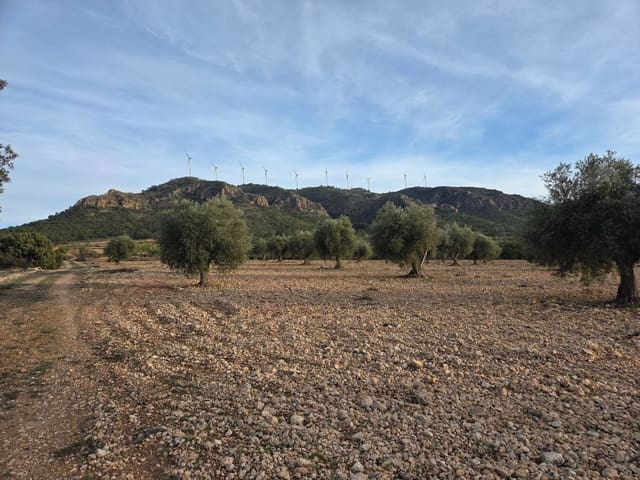 Undeveloped Land for sale in Jumilla - € 65,000 (Ref: 9711108)