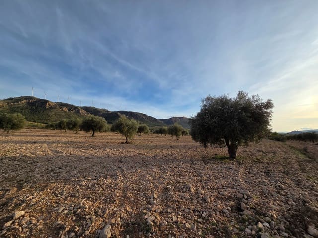 Undeveloped Land for sale in Jumilla - € 65,000 (Ref: 9711108)