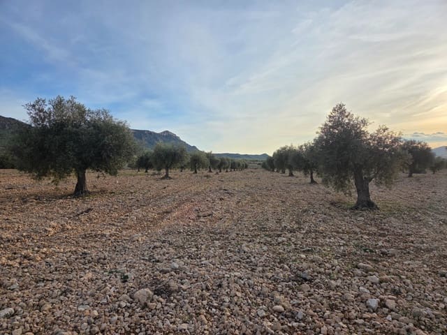 Undeveloped Land for sale in Jumilla - € 65,000 (Ref: 9711108)