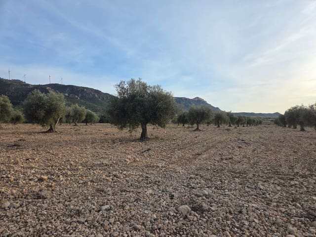 Undeveloped Land for sale in Jumilla - € 65,000 (Ref: 9711108)