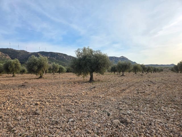 Undeveloped Land for sale in Jumilla - € 65,000 (Ref: 9711108)