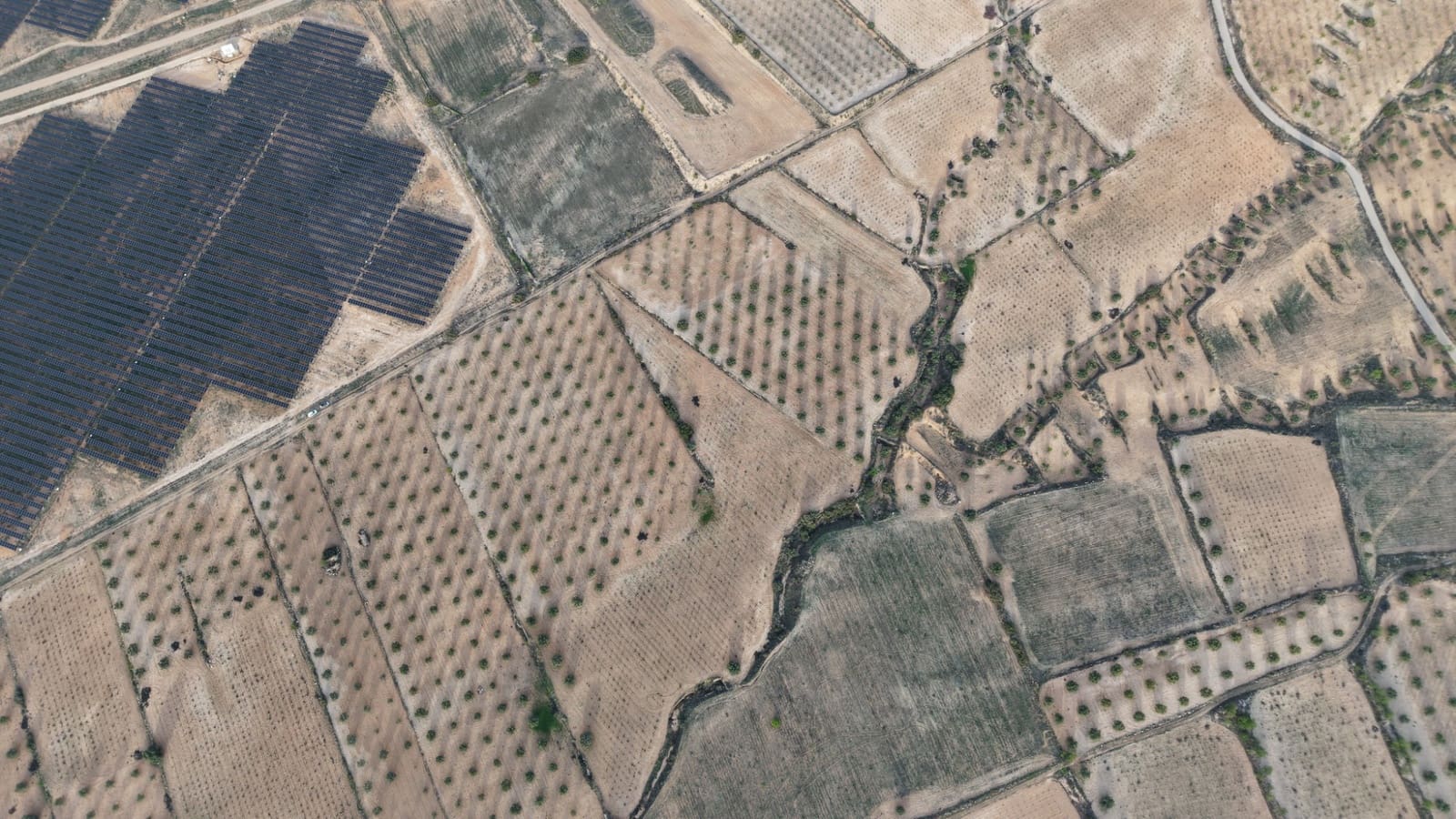 Undeveloped Land for sale in Jumilla - € 65,000 (Ref: 9711108)