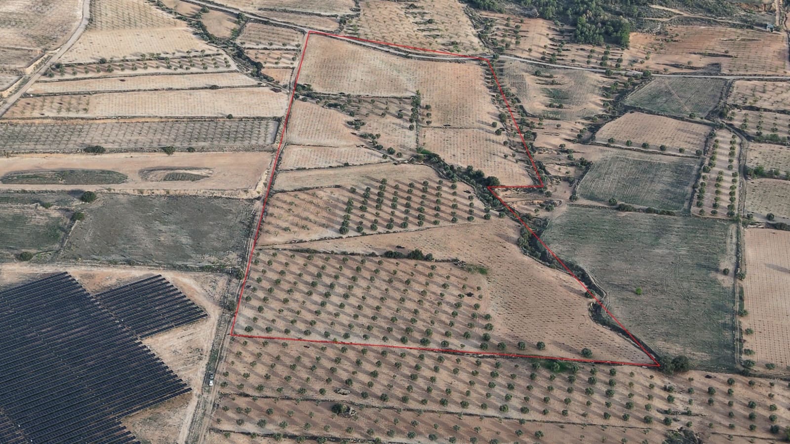 Undeveloped Land for sale in Jumilla - € 65,000 (Ref: 9711108)