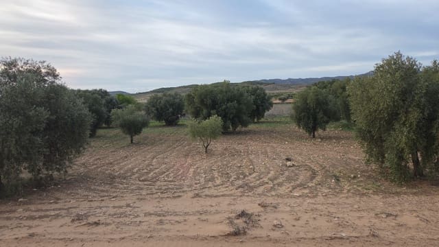Landgrundstück zu verkaufen in Jumilla - 25.000 € (Ref: 9711109)