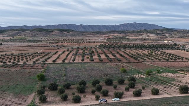 Landgrundstück zu verkaufen in Jumilla - 25.000 € (Ref: 9711109)