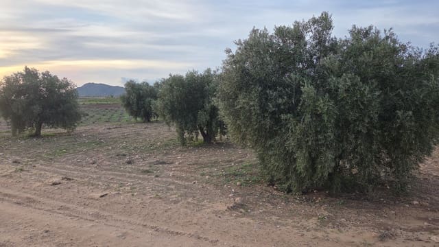 Landgrundstück zu verkaufen in Jumilla - 25.000 € (Ref: 9711109)