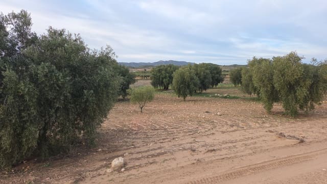 Landgrundstück zu verkaufen in Jumilla - 25.000 € (Ref: 9711109)