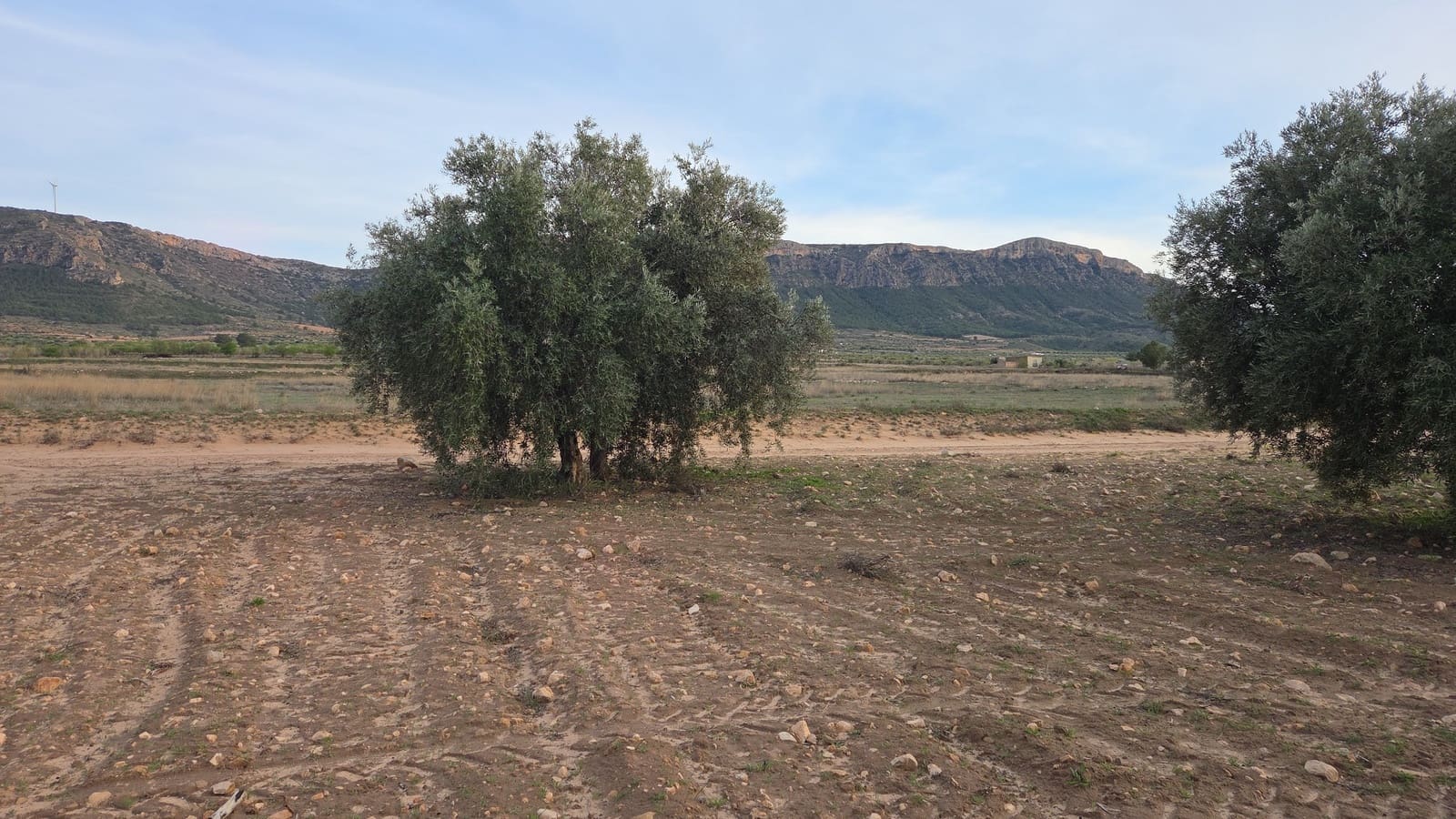 Landgrundstück zu verkaufen in Jumilla - 25.000 € (Ref: 9711109)