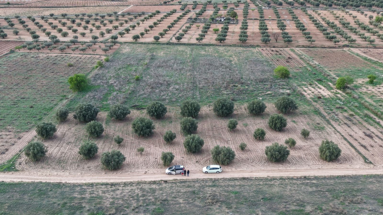 Landgrundstück zu verkaufen in Jumilla - 25.000 € (Ref: 9711109)