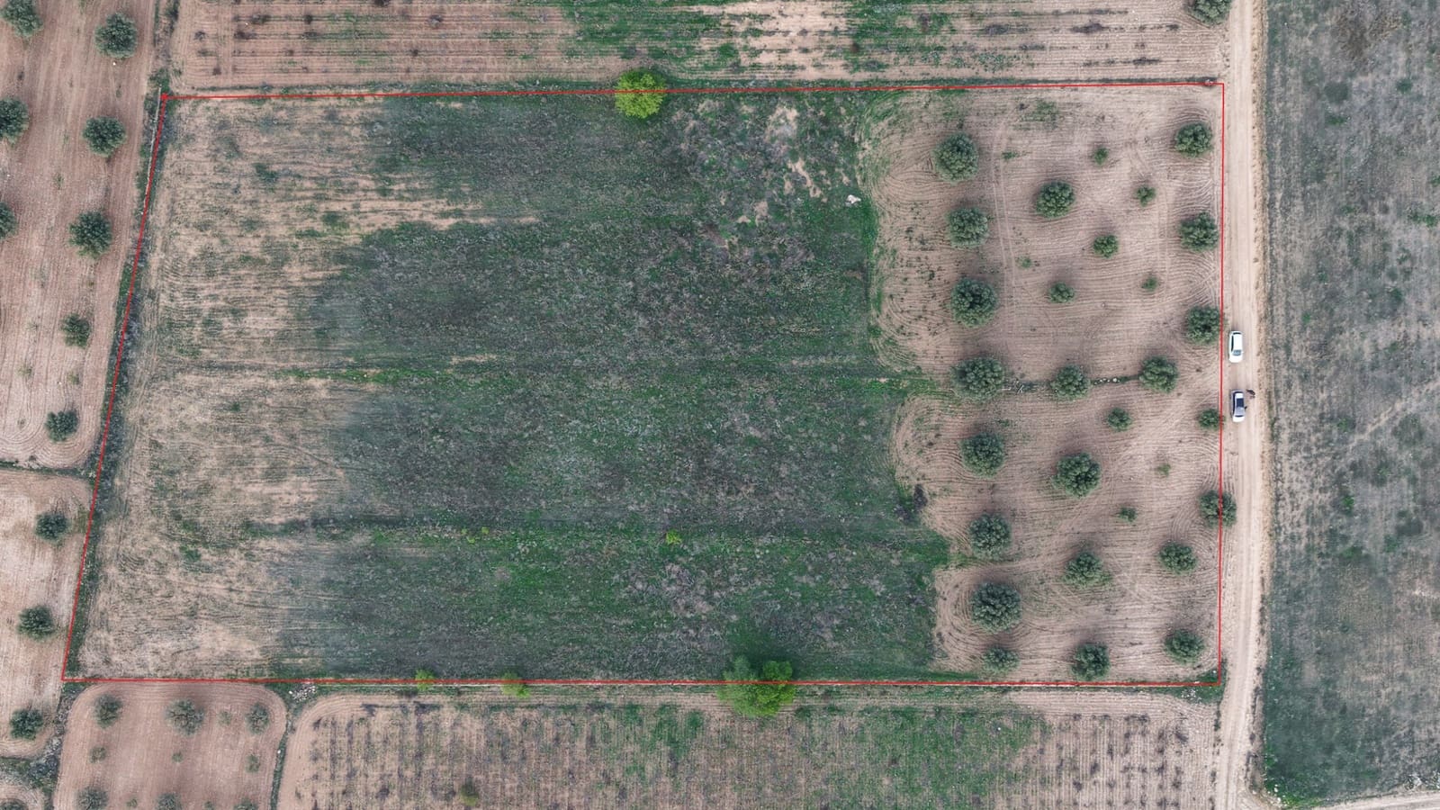 Landgrundstück zu verkaufen in Jumilla - 25.000 € (Ref: 9711109)