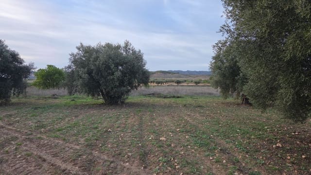 Landgrundstück zu verkaufen in Jumilla - 25.000 € (Ref: 9711109)