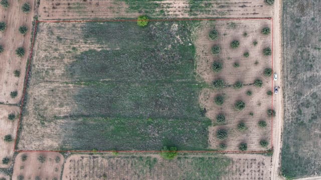 Landgrundstück zu verkaufen in Jumilla - 25.000 € (Ref: 9711109)