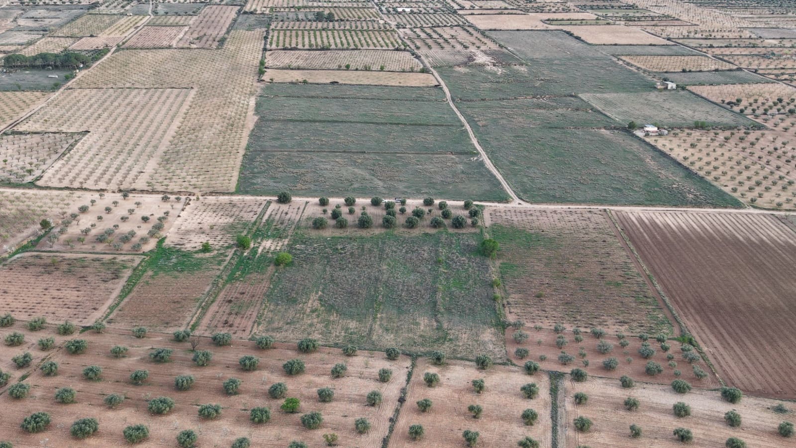 Landgrundstück zu verkaufen in Jumilla - 25.000 € (Ref: 9711109)