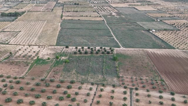 Landgrundstück zu verkaufen in Jumilla - 25.000 € (Ref: 9711109)