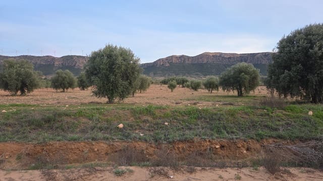 Undeveloped Land for sale in Jumilla - € 20,000 (Ref: 9711110)